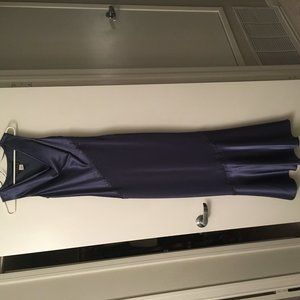 Alex Evenings dress (size 4)
